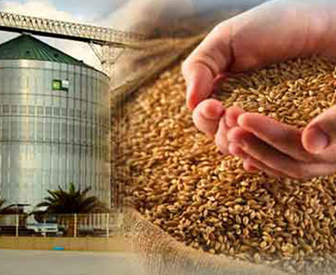 نقش هوادهی در کنترل حشرات FIELD TRIALS نقش هوادهی در کنترل حشرات FIELD TRIALS
